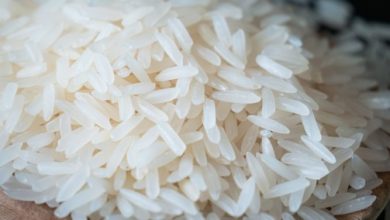 營養師公佈四項減肥飲食迷思 踩地雷變胖體力差