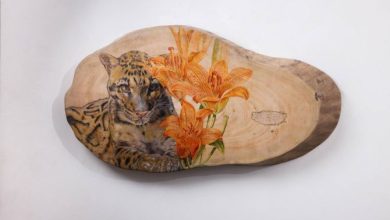 蒐懷志：二〇二二楊茂林個展
