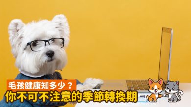 春夏季節轉換 注意養狗5原則，讓毛孩快樂一夏