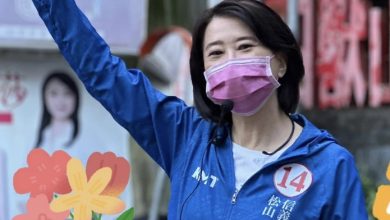 九合一大勝，立委補選非「王」不可