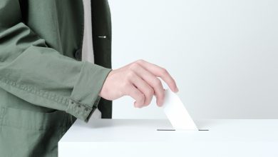 五星縣. 市長一籮筐！星星普照
