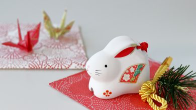 玉兔敲門運財來 新春打造財庫旺整年