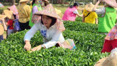 到苗栗賞花嚐筍 張淑芬盛情邀約