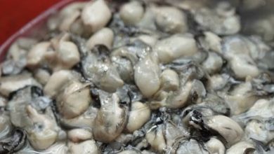越南進口蚵仔重金屬超標5倍，還有人敢吃嗎？