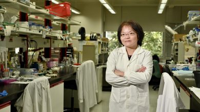 醉心系統生物學研究 喻秋華用斑馬魚解碼疾病