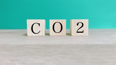 森林碳匯會是繼“超思蛋”之後，公部門聯手特定企業的“專”案？