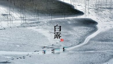 節氣、白露