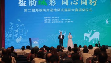 第二屆海峽兩岸濕地風光攝影大賽圓滿落幕