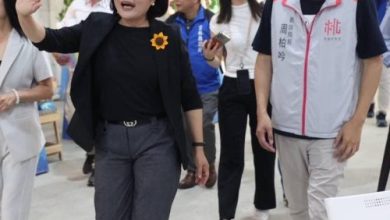 控桃園市府養網軍  民進黨：壞蛋事件 都是國民黨自導自演