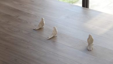 馬祖藝術節亮點集中南竿 北竿怒斥：不如不要辦！