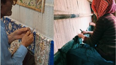 揭開波斯地毯的神秘面紗：傳統藝術的輝煌與現代創新的魅力