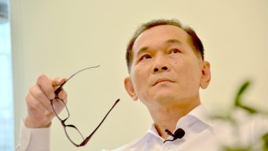 博惠植物性外泌體 首家取得INCI認證