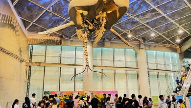 屏東海生館夏日活動不停歇 一同潛入海洋世界避暑
