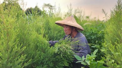 建構善經濟循環 土地工工獲魅力新星獎