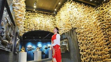 「里昂仙境．黃韻庭」紮根台灣，讓世界走進來