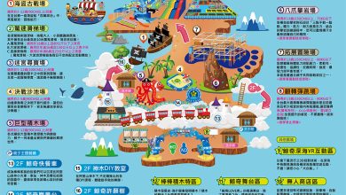 熱門攀岩、彈跳場 肆意揮灑青春