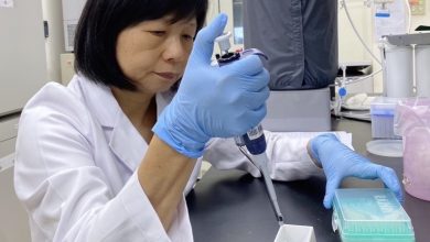 健康新知：乳鐵蛋白與口腔健康系列報導（一）