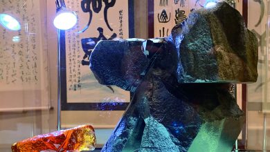 中華藝術文化的傳承 禪太極搭建起傳統與當代的藝術文化橋樑