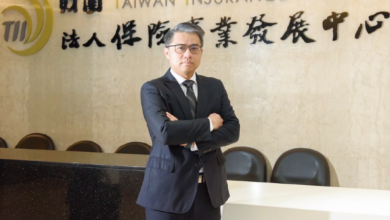 匯率波動的循環與穩定力：政府如何為保險業提供長期支撐