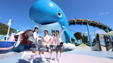 夏天熱到融化？快跟SUM汽車保修一起「涼」進花蓮遠雄海洋公園！