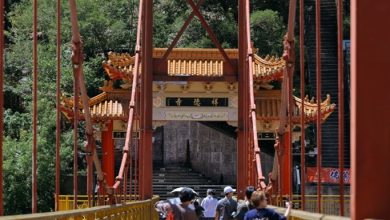 花蓮「繁花盛開計畫」：以設計力與在地精神，讓世界看見韌性之美