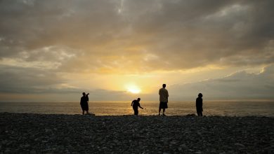 山與海的節奏－花蓮「繁花盛開」計畫，串聯人與風景的影像創作