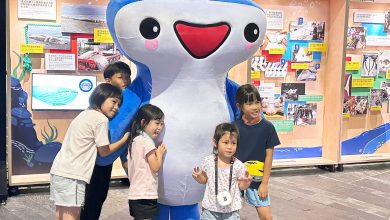 「回憶殺」大爆發！暑假最後一週快來屏東海生館掀起全民回憶潮