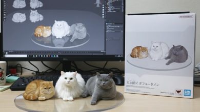 當教育遇上 AI 人才競爭、金融市場與資源再分配