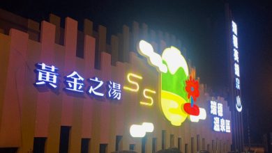 「繁花盛開」小石花再現！亮相瑞穗溫泉公園