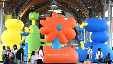 「小石花IP」榮獲 2025 Taiwan Design BEST 100年度設計花蓮以在地文化設計展現城市地域新能量