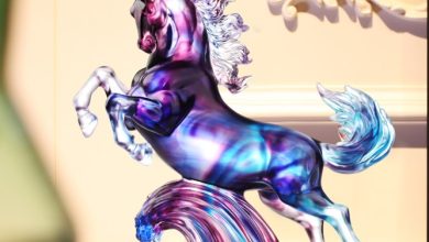 駿馬馳騁光影，典藏信念之光