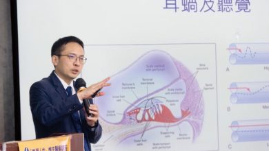 打開聽覺的天窗   幫助幼兒學習發展