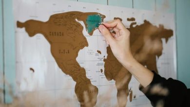 中等強國的覺醒：在霸權重返年代下尋找生存之道