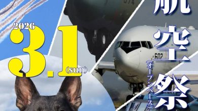 日本航空自衛隊小牧基地開放日