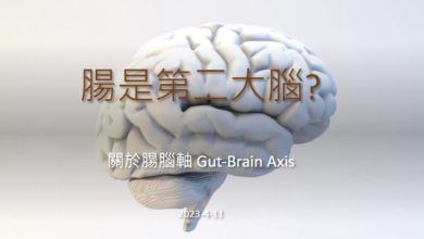 現代人情緒起伏也造成「第二大腦」焦慮？