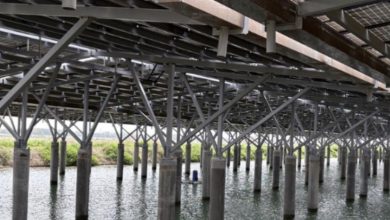 「魚電共生」變質成「光電寄生漁業」之探討！
