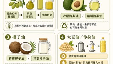 你家的初榨橄欖油保存正確嗎？澳洲研究點出重要關鍵