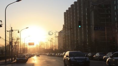 清晨的黑色聖杯：咖啡、睡眠與效率的文明敘事
