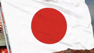 1978年以來，日本首次調整簽證費，引發各界關注