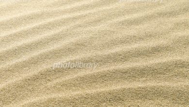 端視海沙除鹽淡化變建築用砂之可行性！