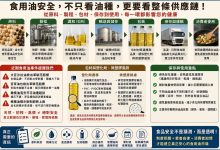 食品用油風暴連環爆　真正該問的不是「哪種油最好」