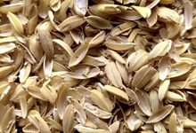製作炭化稻殼和稻殼醋液：稻田收割後的稻稈稻殼再利用！