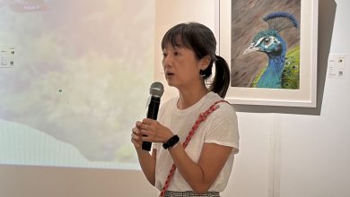 楊品若用畫筆 替不會說話的生命發聲 楊品若用畫筆 替不會說話的生命發聲