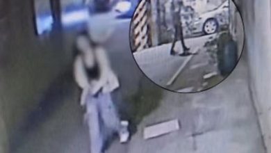 桃園再爆持毒隨機割頸案！從殺人、毒品到廢死爭議，看台灣治安危機